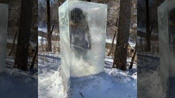 Minneapolis hikers surprised by frozen caveman sculpture