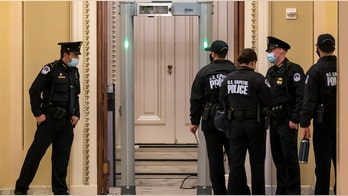 GOP congressman appeals Pelosi-ordered fine after bypassing House floor metal detectors
