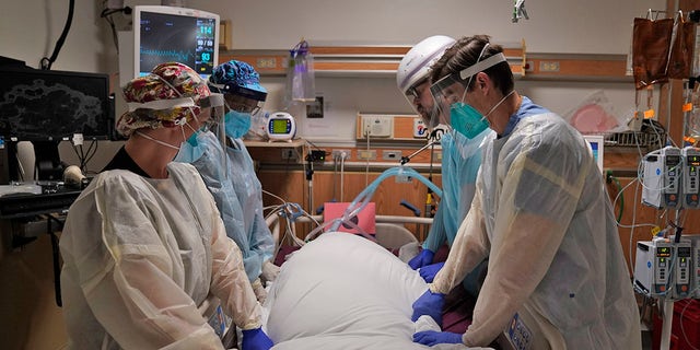 In this Dec. 22, 2020, file photo, medical workers prepare to manually prone a COVID-19 patient in an intensive care unit at Providence Holy Cross Medical Center in the Mission Hills section of Los Angeles. 