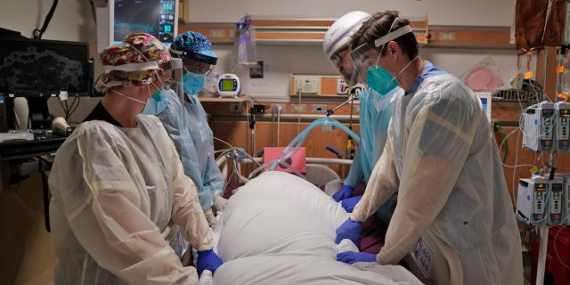 In this Dec. 22, 2020, file photo, medical workers prepare to manually prone a COVID-19 patient in an intensive care unit at Providence Holy Cross Medical Center in the Mission Hills section of Los Angeles. 