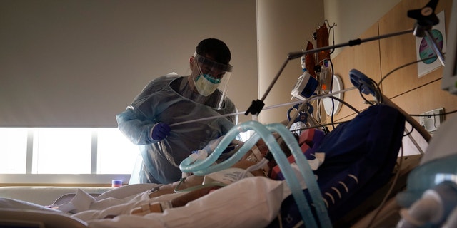A doctor tends to treat a COVID-19 patient at Providence Holy Cross Medical Center in the Mission Hills ward of Los Angeles on December 22, 2020. (AP Photo / Jae C. Hong, File)