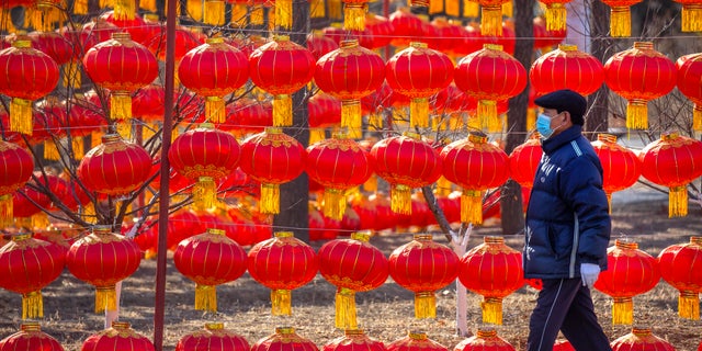 A man wearing a face mask to protect against the spread of the coronavirus walks past a display of lanterns at a public park in Beijing, Tuesday, Jan. 5, 2021. China has designated parts of Hebei province near Beijing as a coronavirus high danger zone after 14 new cases of COVID-19 were found. (AP Photo/Mark Schiefelbein)