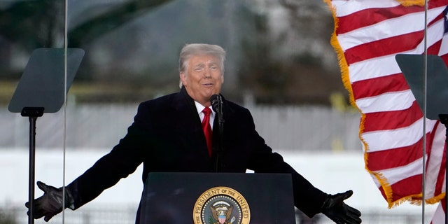 Trump during a rally on Jan. 6, 2021, in Washington, D.C. 