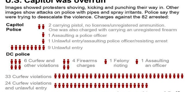 A look at the charges made against protesters (Associated Press)