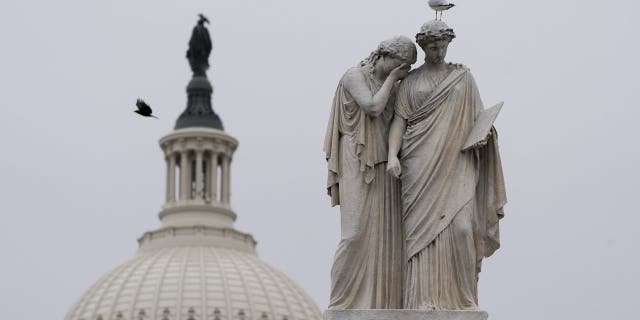 Birds fly around the Peace Monument, Friday, Jan. 8, 2021, on Capitol Hill in Washington. (AP Photo/Jacquelyn Martin)