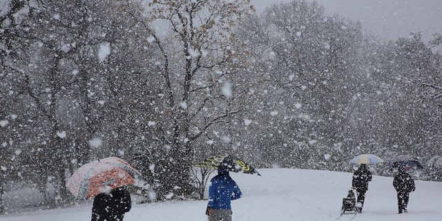 Disc golfers make their way through the snow that dropped at least five inches of snow at their tournament in Cameron Park, Sunday, Jan. 10, 2021, in Waco, Texas. (Rod Aydelotte/Waco Tribune-Herald via AP)