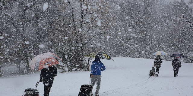 Disc golfers make their way through the snow that dropped at least five inches of snow at their tournament in Cameron Park, Sunday, Jan. 10, 2021, in Waco, Texas. (Rod Aydelotte/Waco Tribune-Herald via AP)