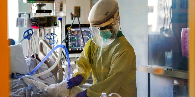 FILE: A healthcare worker tends to a COVID-19 patient in the intensive care unit at Santa Clara Valley Medical Center during the coronavirus pandemic in San Jose, Calif. 