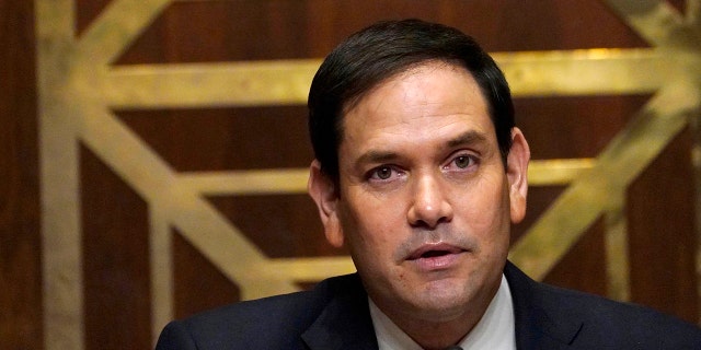 Sen. Marco Rubio, R-Fla., speaks during a confirmation hearing for President-elect Joe Biden’s pick for national intelligence director Avril Haines before the Senate intelligence committee on Tuesday, Jan. 19, 2021, in Washington. (Melina Mara/The Washington Post via AP, Pool)