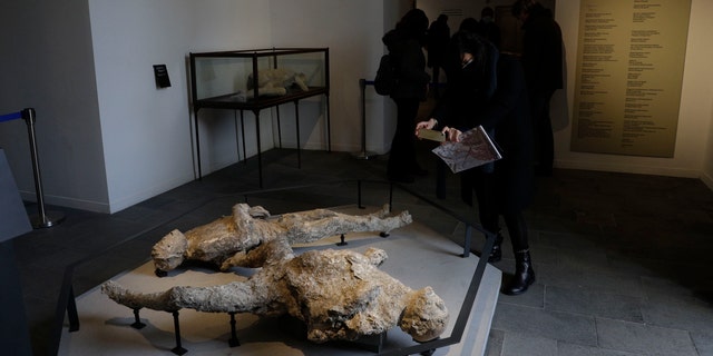 A woman takes pictures of casts of two victims of the 49 AD Eruption of Mount Vesuvius displayed at the museum Antiquarium, in Pompeii, southern Italy, Monday, Jan. 25, 2021. (AP Photo/Gregorio Borgia)