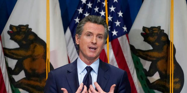 FILE: California Gov. Gavin Newsom outlines his 2021-2022 state budget proposal during a news conference in Sacramento, Calif. 