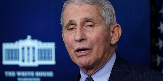 In this Jan. 21, 2021, photo, Dr. Anthony Fauci, director of the National Institute of Allergy and Infectious Diseases, speaks with reporters in the James Brady Press Briefing Room at the White House in Washington. (AP Photo/Alex Brandon)