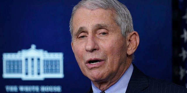 In this Jan. 21, 2021, photo, Dr. Anthony Fauci, director of the National Institute of Allergy and Infectious Diseases, speaks with reporters in the James Brady Press Briefing Room at the White House in Washington. (AP Photo/Alex Brandon)