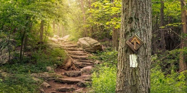 The Appalachian Trail Conservancy said it would not recognize runners until the coronavirus pandemic was 'under control'.  (iStock)
