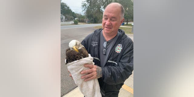 Driver Engineer Jerry Brown of Pasco County Fire Rescue assisted the two children who found the injured bald eagle.
