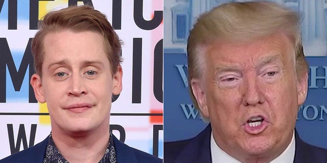 Macaulay Culkin agreed with a fan who voiced the idea that Donald Trump should be digitally removed from `` Home Alone 2: Lost in New York. ''