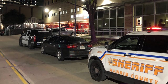Authorities gave a press conference early Sunday morning outside Ben Taub General Hospital.