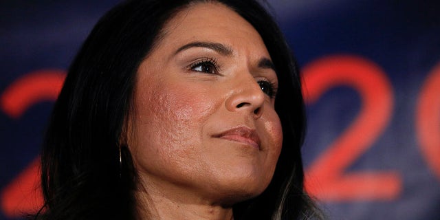 Democratic presidential candidate and Rep. Tulsi Gabbard holds a Town Hall meeting on Super Tuesday Primary night on March 3, 2020, in Detroit, Michigan. (Bill Pugliano/Getty Images)