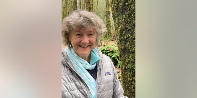 Jean Gerich, 77, died after being beaten by a driver during a ravage that stretched over several blocks, police said.