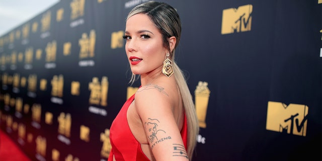 Halsey welcomed her first child, a baby boy named Ender Ridley Aydin on July 14, with Alev Aydin.