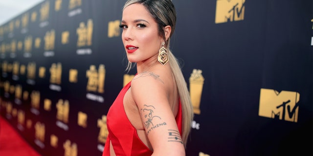 Halsey welcomed their first child, a baby named Ender Ridley Aydin on July 14, with Alev Aydin.