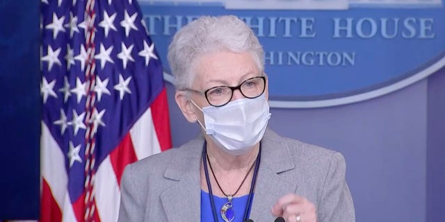 White House climate adviser Gina McCarthy