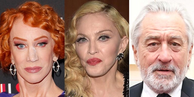 Kathy Griffin, Madonna and Robert De Niro were mentioned by name during Trump's second impeachment hearings.