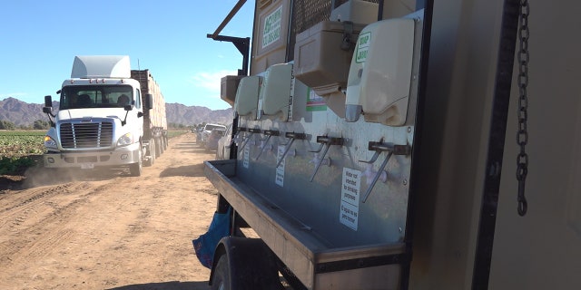 Boelts says they started planning for the pandemic early on. They require everyone to wash their hands, always wear masks, and try to stay socially distant whenever possible. They also sanitize high touch areas like tractors. He says they always wore some sort of mask to protect themselves against the harsh Arizona sun. Hand washing stations were also scattered around the farm before the pandemic hit (Stephanie Bennett/Fox News).