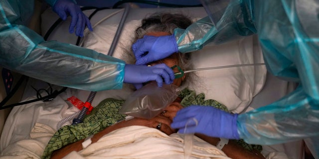 In this Jan. 7, 2021, file photo, two nurses put a ventilator on a patient in a COVID-19 unit at St. Joseph Hospital in Orange, Calif.