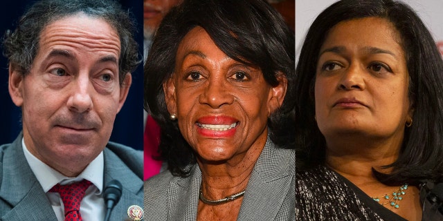 Raskin, Waters and Jayapal.