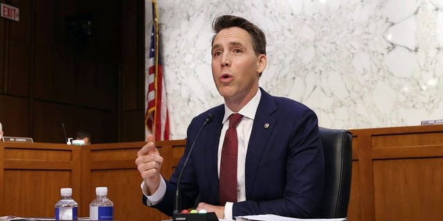Senator Josh Hawley, R-Mo., Speaks during the confirmation hearing for Supreme Court candidate Amy Coney Barrett at the Senate Judiciary Committee on Capitol Hill in Washington on Monday, October 12, 2020 (Win McNamee / Pool via AP)