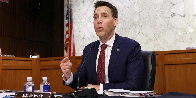 Sen. Josh Hawley, R-Mo., speaks during the confirmation hearing for Supreme Court nominee Amy Coney Barrett at the Senate Judiciary Committee on Capitol Hill in Washington, Monday, Oct. 12, 2020. (Win McNamee/Pool via AP)