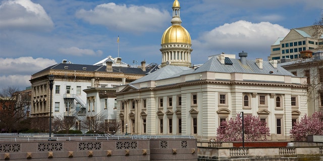 The New Jersey's State House capitol in Trenton.