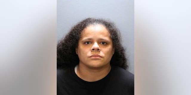 Tatiana Rita Turner, 40, who was charged with attempted murder after allegedly running over Trump supporters with her car last year, is facing new charges.