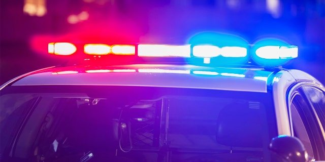 The roof of a police patrol car at night, with the blue and red lights flashing.