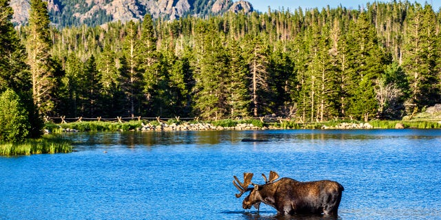 Rocky Mountain National Park is ditching the timed reservation system introduced in 2021.