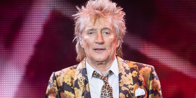 Rod Stewart performing