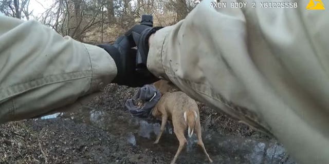 "The Game Wardens would like to thank the bow hunter who reported it and cooperating landowners for their help," the Kansas Department of Wildlife, Parks &安培; Tourism wrote on Facebook.