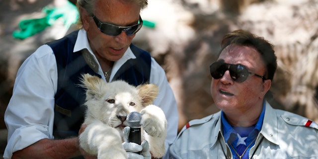 Siegfried Fischbacher, left, holds up a white lion cub as Roy Horn holds up a microphone during an event to welcome three white lion cubs to Siegfried & Roy's Secret Garden and Dolphin Habitat, in Las Vegas.