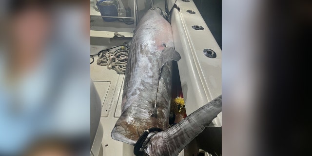 The record-breaking swordfish weighed 767.8 pounds and was 107 inches long.
