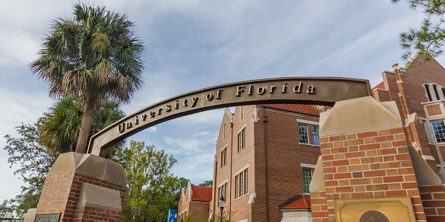 The University of Florida College of Medicine was singled out in a new report on how the school has adopted woke policies.