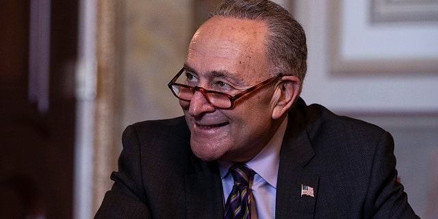 Senate Minority Leader Chuck Schumer (D-NY) meets virtually with incoming Secretary of Housing and Urban Development Marcia Fudge on December 17, 2020 in Washington, DC. Schumer will soon be the majority leader, and will oversee an impeachment trial of President Trump. (Photo by Tasos Katopodis/Getty Images)