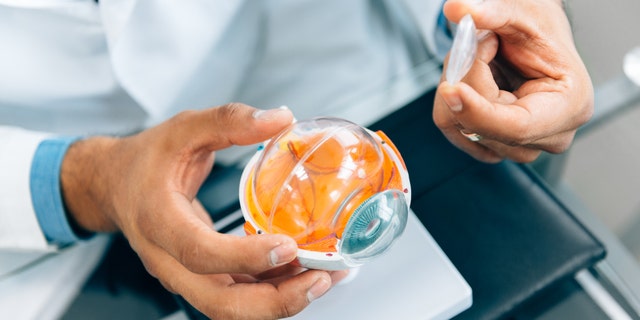 The artificial cornea, made out of a synthetic, non-degradable porous material, fits into the eye wall to replace scarred or deformed corneas. (iStock)