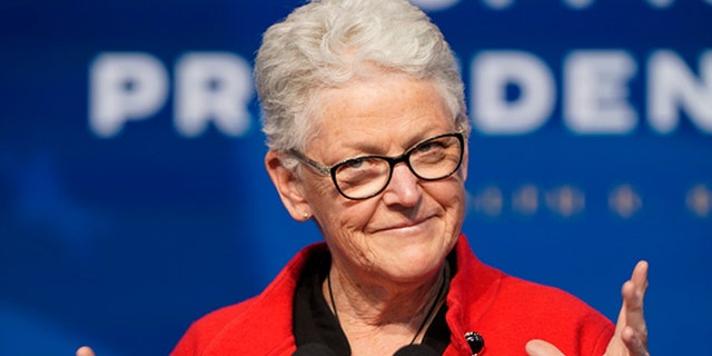 Appointee for National Climate Advisor, Gina McCarthy, speaks at the Queen theater on December 19, 2020 in Wilmington, DE. (Photo by Joshua Roberts/Getty Images)