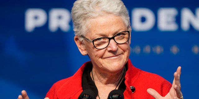 Appointee for National Climate Advisor, Gina McCarthy, speaks at the Queen theater on December 19, 2020 in Wilmington, DE. (Photo by Joshua Roberts/Getty Images)