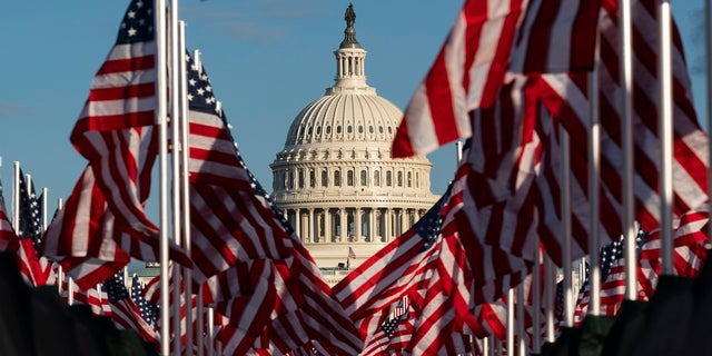 Flags are seen on the National Mall with the U.S. Capitol behind them. (AP)