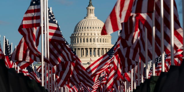 Flags are seen on the National Mall with the U.S. Capitol behind them. (AP)