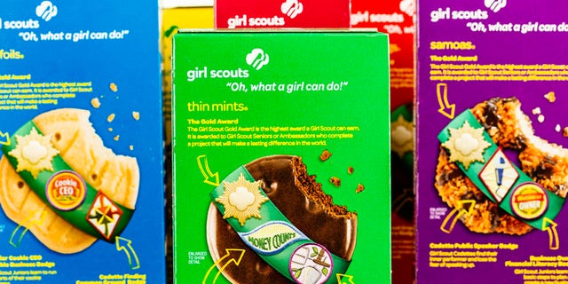First class Allie Shroyer, from Scottsdale, Arizona, has reached her Girl Scout cookie goals after her beautiful point of sale for a doorbell security camera went viral.  (iStock)