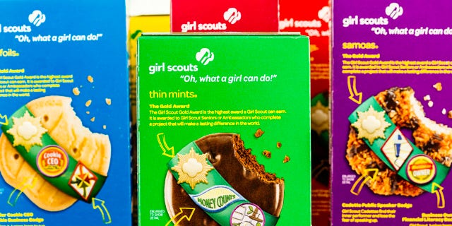 First grader Allie Shroyer, of Scottsdale, Ariz., Hit her Girl Scout cookie sales target after her adorable doorbell security camera sales pitch went viral.  (iStock)