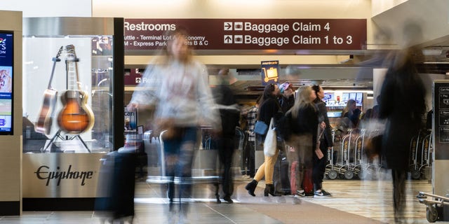 A drug-sniffing dog at the Nashville International Airport reportedly alerted officers to two bags that had arrived on a Southwest flight from Colorado.